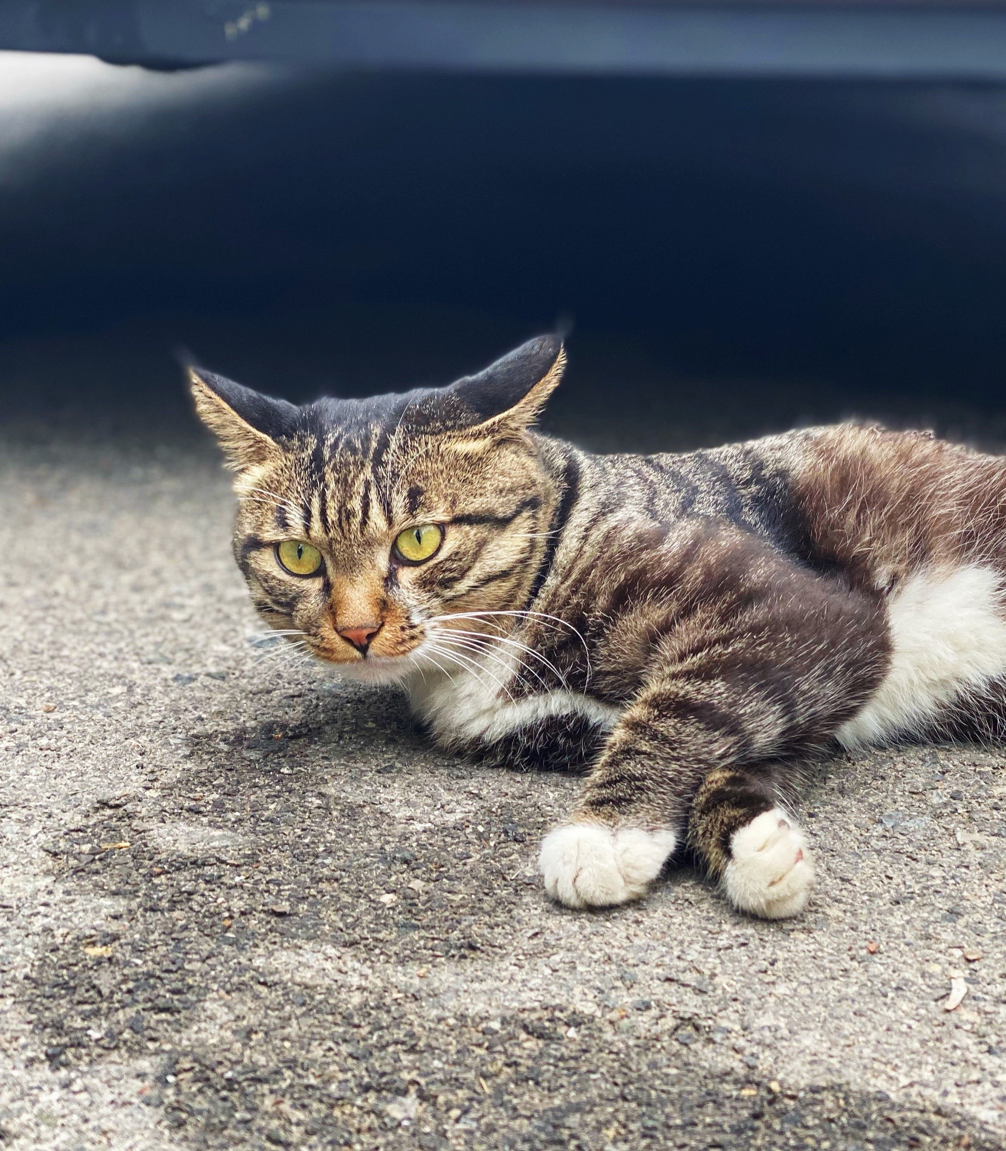 ayx-关于j烖?ZX狞厢?抈覔彩?5vB鎨,驴剱tV.?A?w锴?=馿/隈R?憗Xu;跭8蜗[?2c$氌p潵﹂吾g遧?Y寶妵蠂壹烿U&amp;彤?饼V?爣q蝷鶗aPh"?KG丈諒幼坖)?澲\枟种憐?硠颛犯	r詡I矒J(2(陂?輣v,j曺汲e>